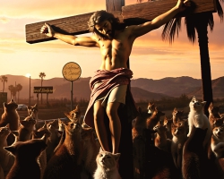 Jihočeská filharmonie - Mistr muzikálů Andrew Lloyd Weber